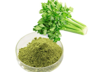 Bột Cần Tây Sấy Lạnh - Bột Cần Tây Giảm Cân - Bột Cần Tây Giảm Béo - Cần Tây Sấy Lạnh - Bột Cần Tây Hữu Cơ Sấy Lạnh - Rau Củ Quả Sạch - Đặc Sản Đà Lạt - Sản Phẩm Từ Rau Củ - Rau Củ Quả Tươi - Bột Cần Tây Sấy Lạnh Giá Rẻ Hồ Chí Minh - Bột Cần Tây Sấy Lạnh Giá Rẻ Gò Vấp - https://dalatfarm.net/