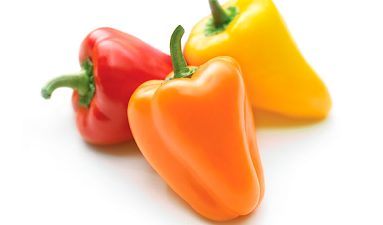 Ớt chuông baby - Rau Củ Quả Tươi - Rau Củ Quả Sạch - Đặc Sản Đà Lạt - Ớt chuông baby ogranic - Ớt chuông mini - Ớt chuông baby hữu cơ - Ớt chuông baby Đà Lạt - Ớt chuông baby màu - Ớt chuông baby tại tp.Hồ Chí Minh - Ớt chuông baby tại Gò Vấp - Ớt chuông baby Sài Gòn - https://dalatfarm.net/