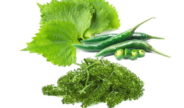 rau ăn đồ nướng Hàn Quốc;