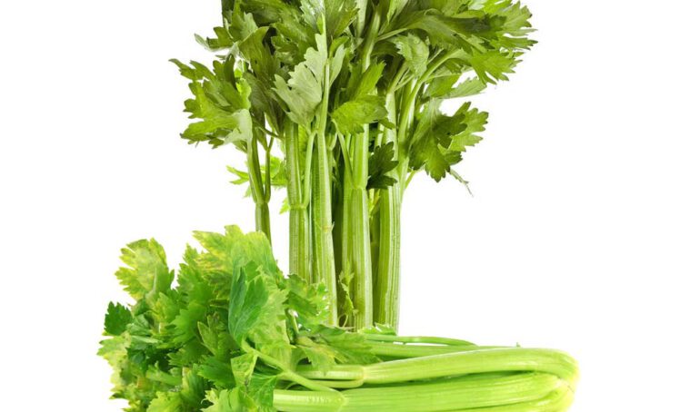 Rau củ quả quận Bình Tân