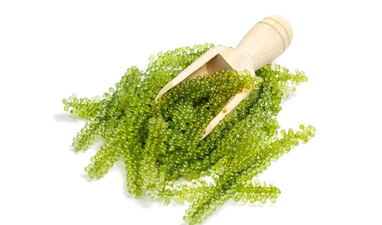 Tổng hợp các loại rau củ ăn đồ nướng ngon nhất