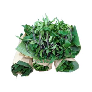 Rau lủi - Rau rừng tại tpHCM. Món ăn lạ miệng, bổ dưỡng, nhiều vị thuốc..