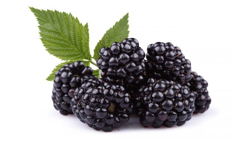 quả phúc bồn tử (quả mâm xôi)