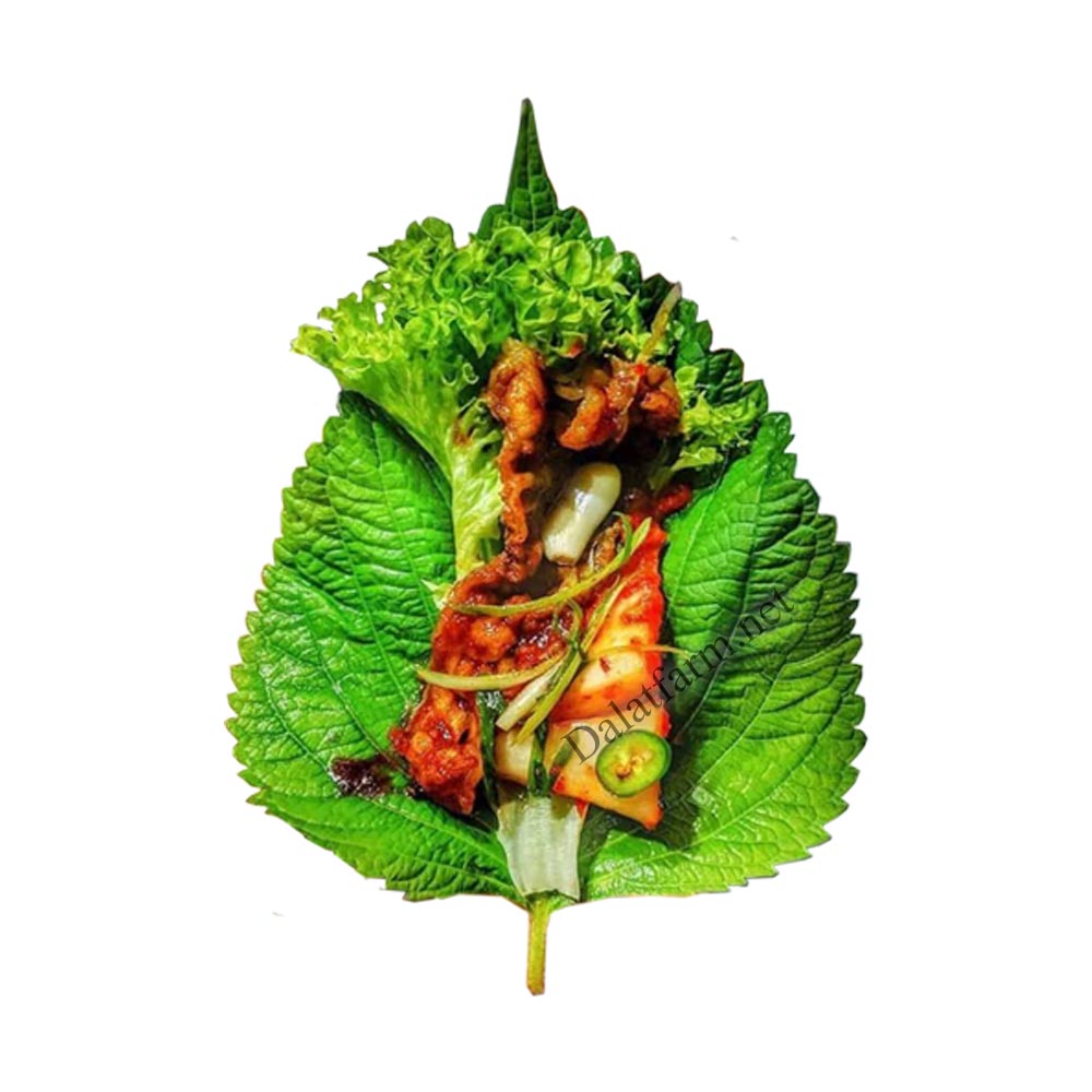 lá mè ăn thịt nướng - Món ăn từ rau củ - Phương pháp sống khỏe - https://dalatfarm.net/