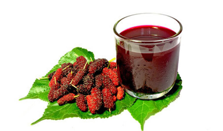 Dâu tằm - món ăn từ rau củ - phương pháp sống khỏe - Đặc Sản Đà Lạt - https://dalatfarm.net/