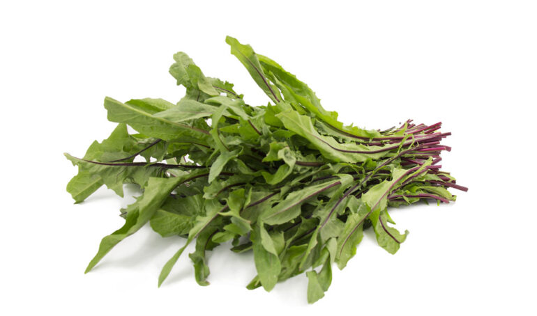 bồ công anh tươi - món ăn từ rau củ - phương pháp sống khỏe - Đặc Sản Đà Lạt - https://dalatfarm.net/