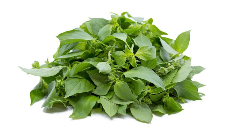 lá é - món ăn từ rau củ - phương pháp sống khỏe - Đặc Sản Đà Lạt - https://dalatfarm.net/