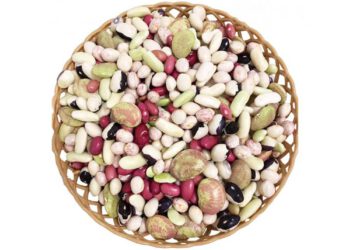 Đậu tươi ngũ sắc - món ăn từ rau củ - phương pháp sống khỏe - Đặc Sản Đà Lạt - https://dalatfarm.net/