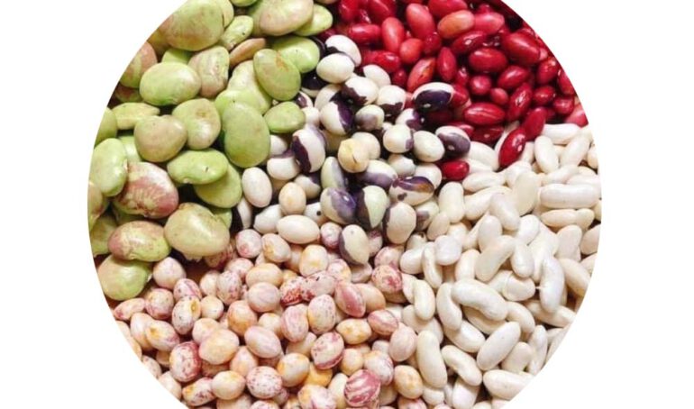 Đậu tươi thập cẩm - món ăn từ rau củ - phương pháp sống khỏe - Đặc Sản Đà Lạt - https://dalatfarm.net/