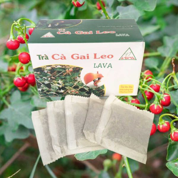 Trà cà gai leo Lava - Đặc Sản ĐàLạt - Trà Thảo Mộc - Đặc Sản Đà Lạt - https://dalatfarm.net/