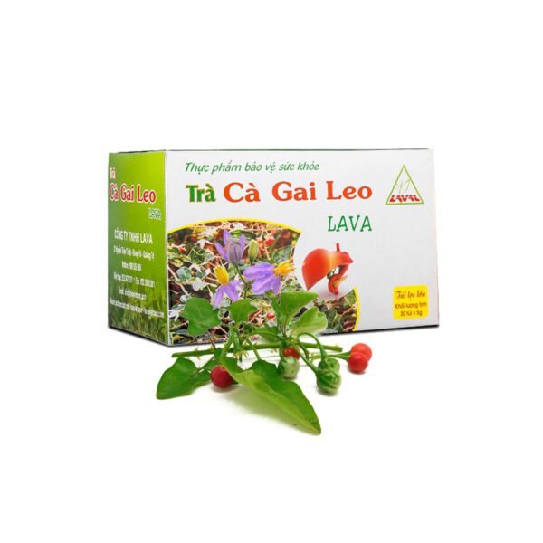 Trà cà gai leo Lava - Đặc Sản ĐàLạt - Trà Thảo Mộc - Đặc Sản Đà Lạt - https://dalatfarm.net/