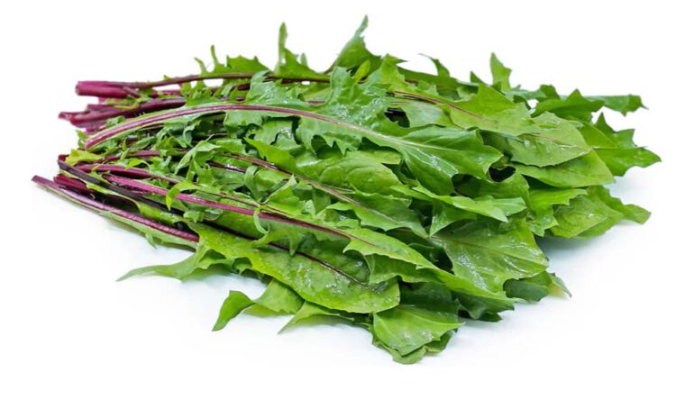 Cây bồ công anh - món ăn từ rau củ - phương pháp sống khỏe - Đặc Sản Đà Lạt - https://dalatfarm.net/