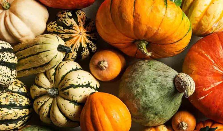 Các loại bí ở Việt Nam - món ăn từ rau củ - phương pháp sống khỏe - Đặc Sản Đà Lạt - https://dalatfarm.net/