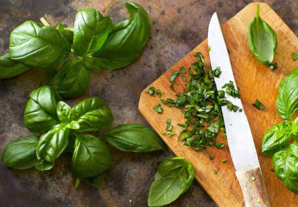 Lá basil - Rau Củ Quả Tươi - Rau Củ Quả Sạch - Đặc Sản ĐàLạt - https://dalatfarm.net/