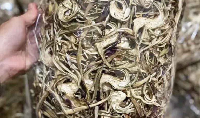 atiso sấy khô - món ăn từ rau củ - phương pháp sống khỏe - Đặc Sản Đà Lạt - https://dalatfarm.net/