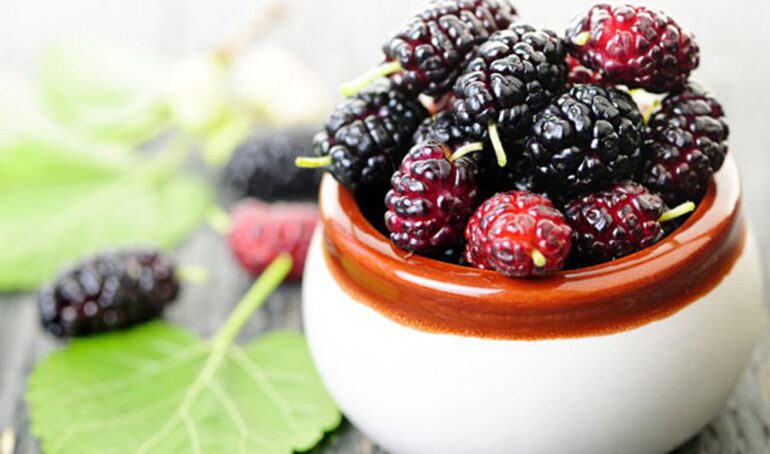 dâu tằm tpHCM - món ăn từ rau củ - phương pháp sống khỏe - Đặc Sản Đà Lạt - https://dalatfarm.net/