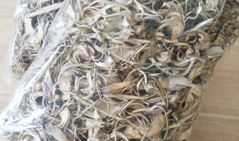 hoa atiso khô - món ăn từ rau củ - phương pháp sống khỏe - Đặc Sản Đà Lạt - https://dalatfarm.net/