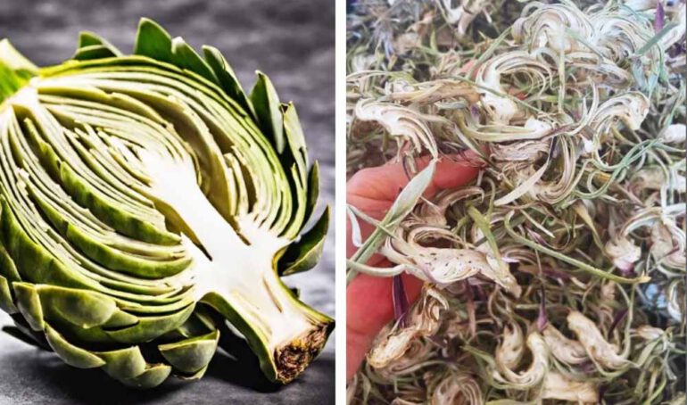 hoa atiso phơi khô - món ăn từ rau củ - phương pháp sống khỏe - Đặc Sản Đà Lạt - https://dalatfarm.net/