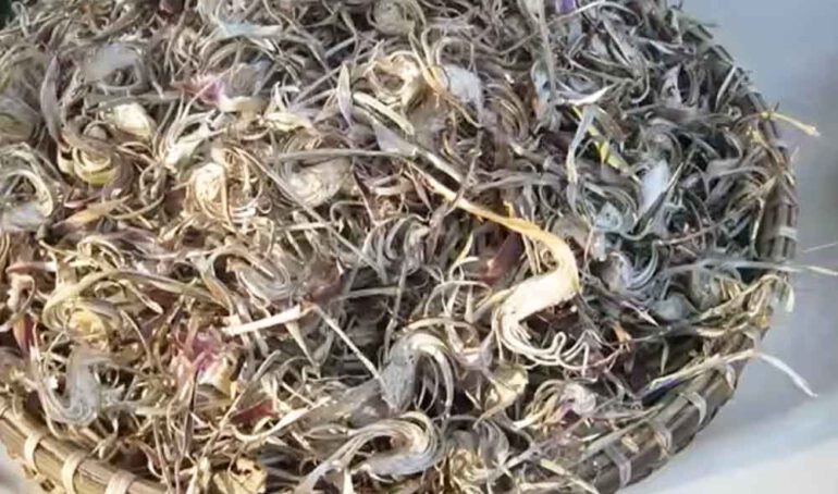 trà atiso TPHCM - món ăn từ rau củ - phương pháp sống khỏe - Đặc Sản Đà Lạt - https://dalatfarm.net/