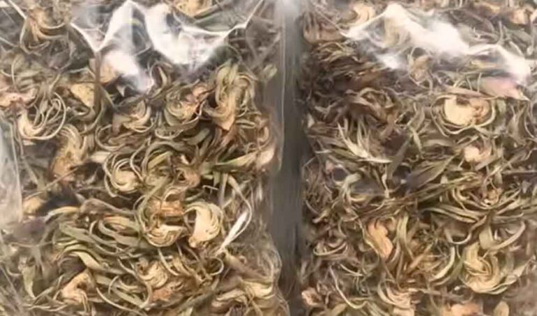 trà bông atiso khô - món ăn từ rau củ - phương pháp sống khỏe - Đặc Sản Đà Lạt - https://dalatfarm.net/