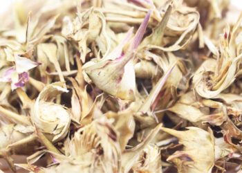 Trà hoa atiso sấy khô - món ăn từ rau củ - phương pháp sống khỏe - Đặc Sản Đà Lạt - https://dalatfarm.net/