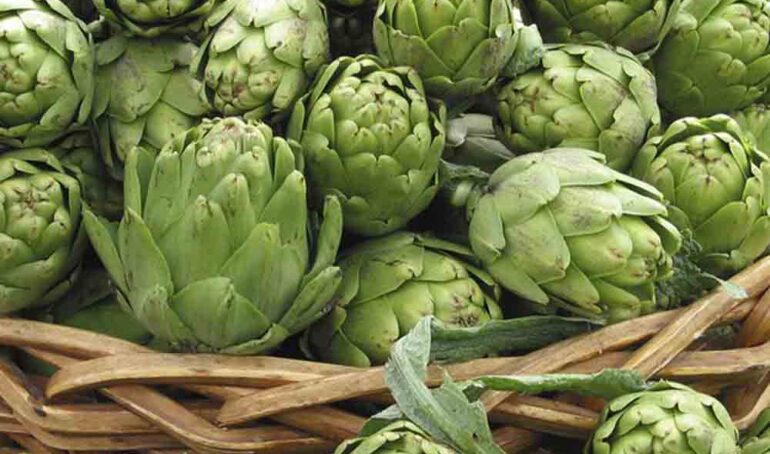 atiso Đà Lạt giá rẻ - món ăn từ rau củ - phương pháp sống khỏe - Đặc Sản Đà Lạt - https://dalatfarm.net/