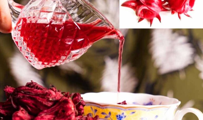 atiso đỏ Đà Lạt - món ăn từ rau củ - phương pháp sống khỏe - Đặc Sản Đà Lạt - https://dalatfarm.net/