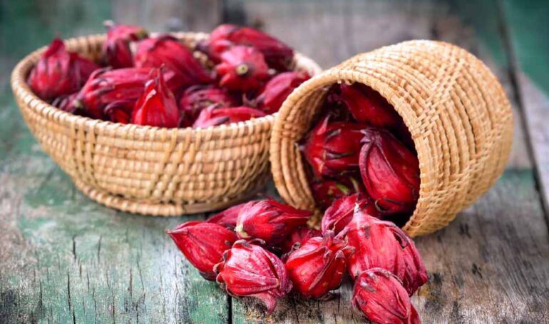 bụp giấm - món ăn từ rau củ - phương pháp sống khỏe - Đặc Sản Đà Lạt - https://dalatfarm.net/