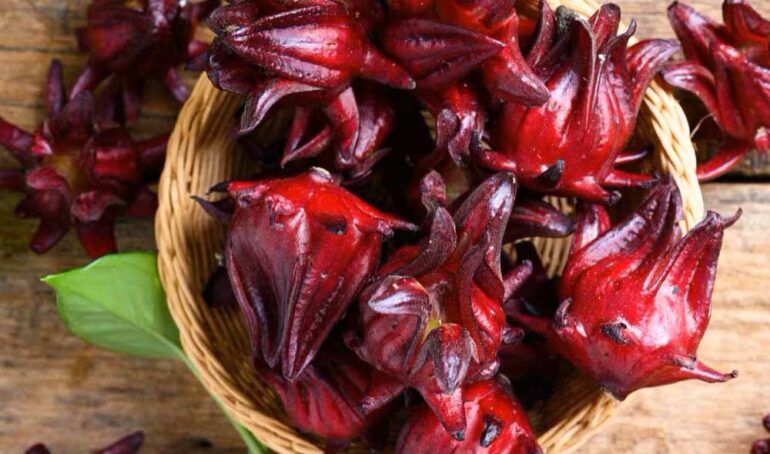 bụp giấm chua - món ăn từ rau củ - phương pháp sống khỏe - Đặc Sản Đà Lạt - https://dalatfarm.net/