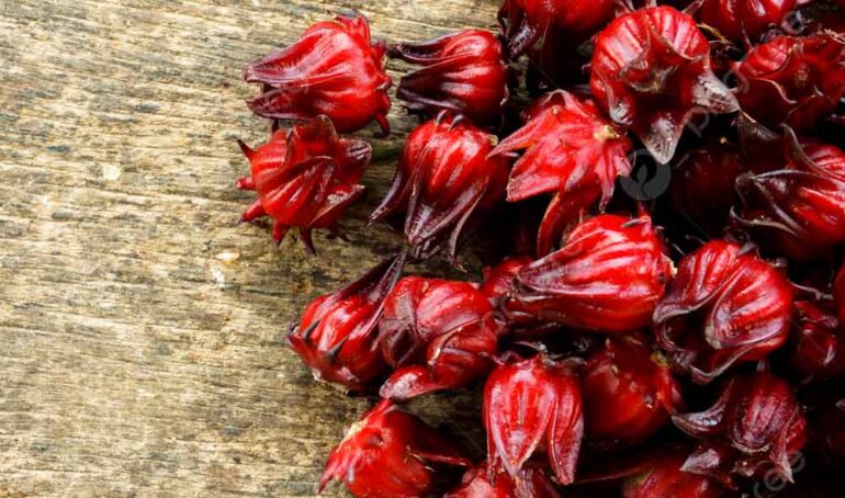 bụp giấm đỏ - món ăn từ rau củ - phương pháp sống khỏe - Đặc Sản Đà Lạt - https://dalatfarm.net/