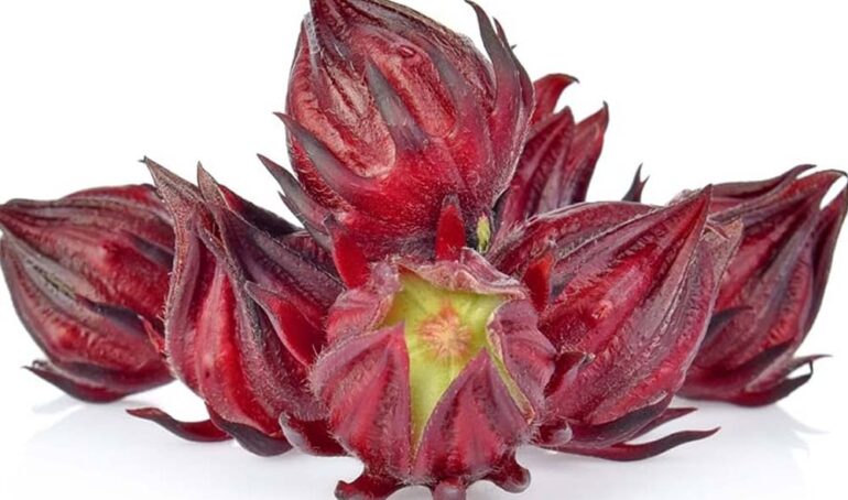 trái atiso đỏ - món ăn từ rau củ - phương pháp sống khỏe - Đặc Sản Đà Lạt - https://dalatfarm.net/