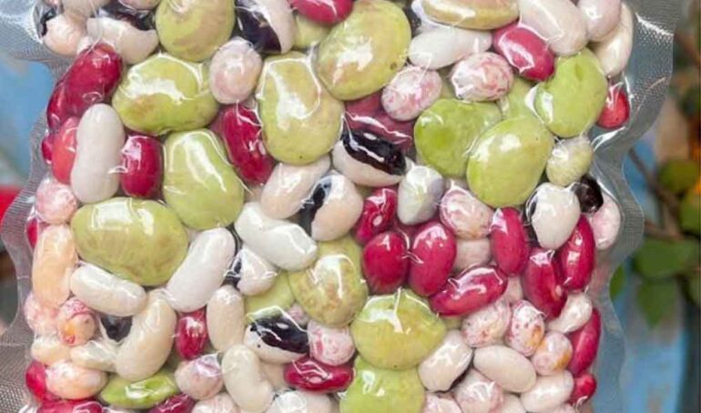 cách bảo quản hạt đậu tươi - món ăn từ rau củ - phương pháp sống khỏe - Đặc Sản Đà Lạt - https://dalatfarm.net/