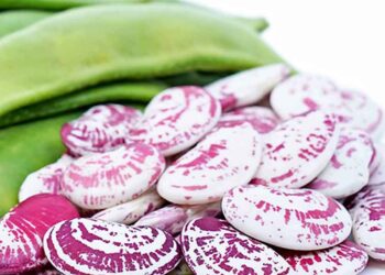 cách nấu đậu ngự tươi ngon - món ăn từ rau củ - phương pháp sống khỏe - Đặc Sản Đà Lạt - https://dalatfarm.net/