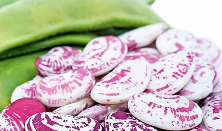 cách nấu đậu ngự tươi ngon - món ăn từ rau củ - phương pháp sống khỏe - Đặc Sản Đà Lạt - https://dalatfarm.net/