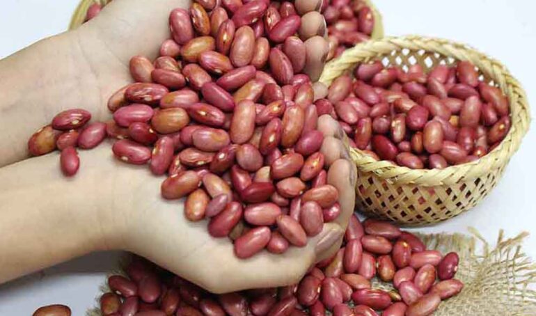 đậu đỏ tươi Đà Lạt - món ăn từ rau củ - phương pháp sống khỏe - Đặc Sản Đà Lạt - https://dalatfarm.net/