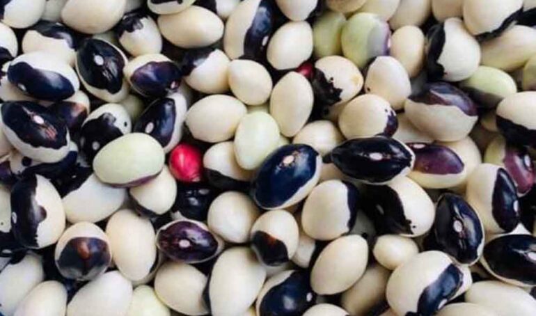 Đậu mắt mèo tươi Đà Lạt - món ăn từ rau củ - phương pháp sống khỏe - Đặc Sản Đà Lạt - https://dalatfarm.net/