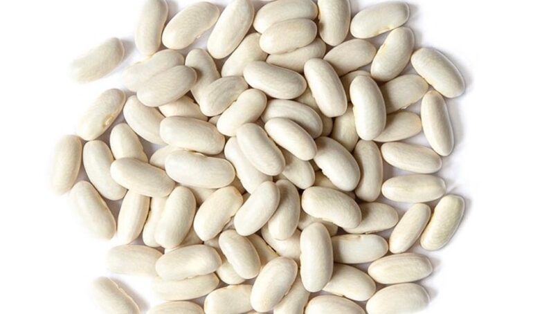 đậu trắng - món ăn từ rau củ - phương pháp sống khỏe - Đặc Sản Đà Lạt - https://dalatfarm.net/