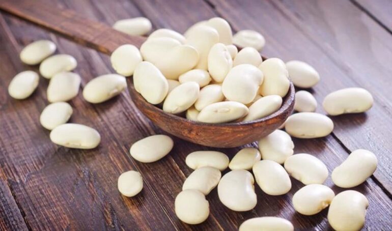 đậu trắng giá rẻ - món ăn từ rau củ - phương pháp sống khỏe - Đặc Sản Đà Lạt - https://dalatfarm.net/