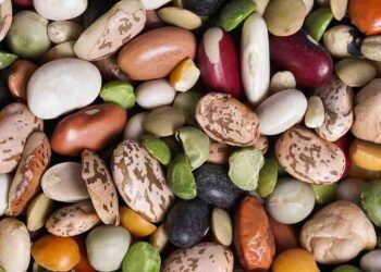 đậu tươi hỗn hợp - món ăn từ rau củ - phương pháp sống khỏe - Đặc Sản Đà Lạt - https://dalatfarm.net/