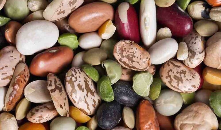 đậu tươi hỗn hợp - món ăn từ rau củ - phương pháp sống khỏe - Đặc Sản Đà Lạt - https://dalatfarm.net/