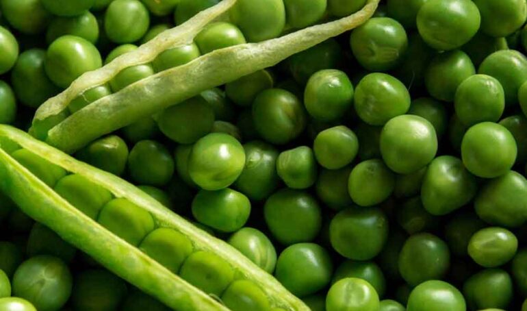 hạt đậu hà lan xanh - món ăn từ rau củ - phương pháp sống khỏe - Đặc Sản Đà Lạt - https://dalatfarm.net/