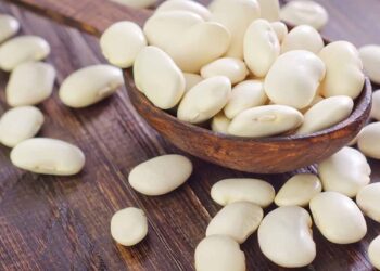 hạt đậu trắng tươi Đà Lạt - món ăn từ rau củ - phương pháp sống khỏe - Đặc Sản Đà Lạt - https://dalatfarm.net/