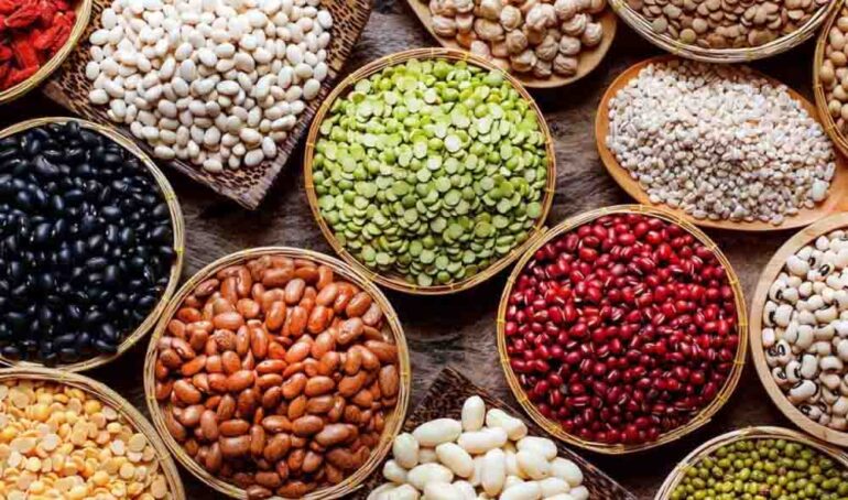 Hạt đậu tươi organic - món ăn từ rau củ - phương pháp sống khỏe - Đặc Sản Đà Lạt - https://dalatfarm.net/