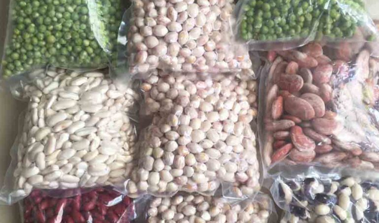 hạt đậu tươi tổng hợp - món ăn từ rau củ - phương pháp sống khỏe - Đặc Sản Đà Lạt - https://dalatfarm.net/