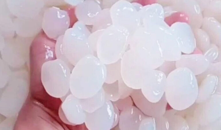 hạt đác Gò Vấp - món ăn từ rau củ - phương pháp sống khỏe - Đặc Sản Đà Lạt - https://dalatfarm.net/