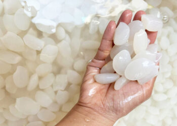 hạt đác Khánh Hòa - món ăn từ rau củ - phương pháp sống khỏe - Đặc Sản Đà Lạt - https://dalatfarm.net/