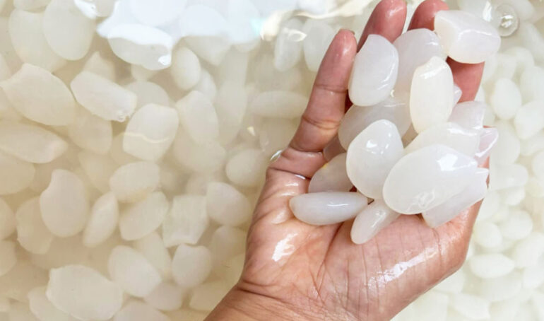 hạt đác Khánh Hòa - món ăn từ rau củ - phương pháp sống khỏe - Đặc Sản Đà Lạt - https://dalatfarm.net/