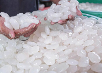 hạt đác giá rẻ - món ăn từ rau củ - phương pháp sống khỏe - Đặc Sản Đà Lạt - https://dalatfarm.net/