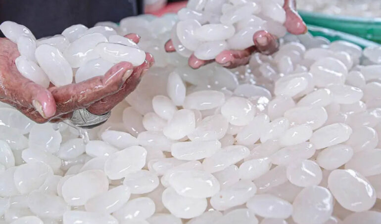 hạt đác giá rẻ - món ăn từ rau củ - phương pháp sống khỏe - Đặc Sản Đà Lạt - https://dalatfarm.net/