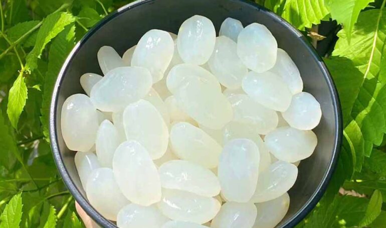 hạt đác giá sỉ - món ăn từ rau củ - phương pháp sống khỏe - Đặc Sản Đà Lạt - https://dalatfarm.net/